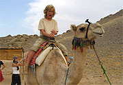 Kamelritt in der Wüste Ägyptens